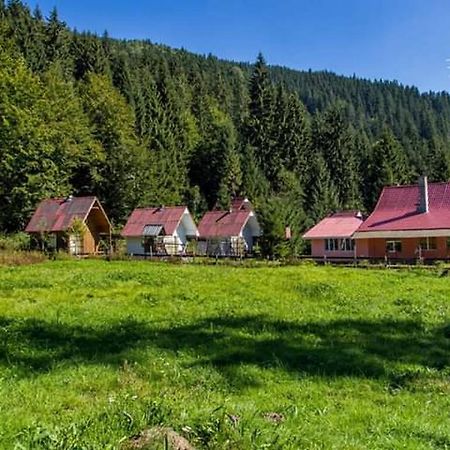 Cabana Valea Stanciului 拉奇特勒 外观 照片