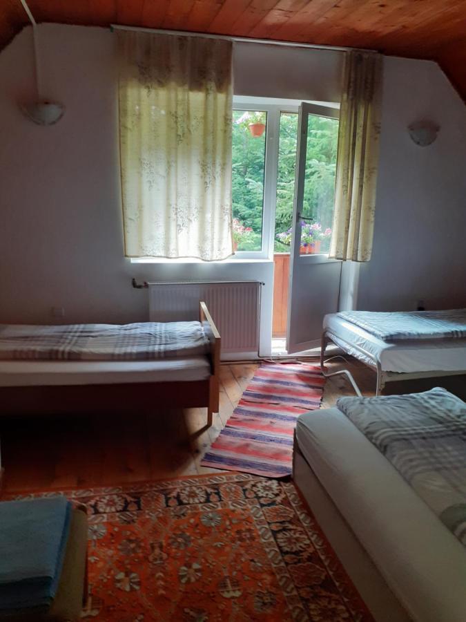Cabana Valea Stanciului 拉奇特勒 外观 照片